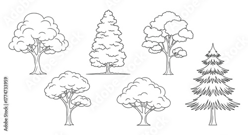 Black and white line art illustrations of diverse tree species, featuring both broadleaf and conifer designs on a white background.