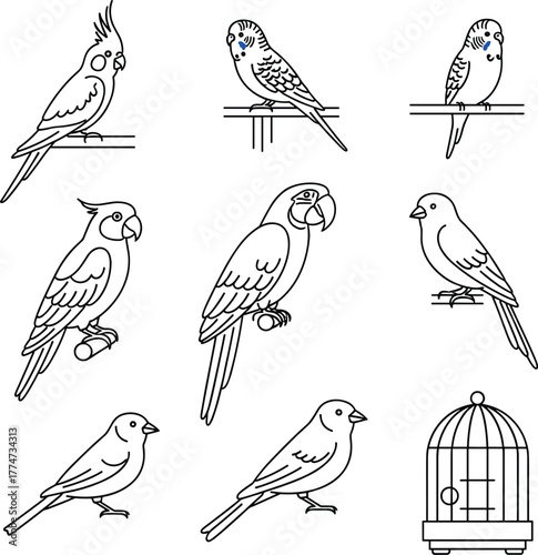  Collection of Various Exotic Pet Bird and Cage Line Icons Vector.