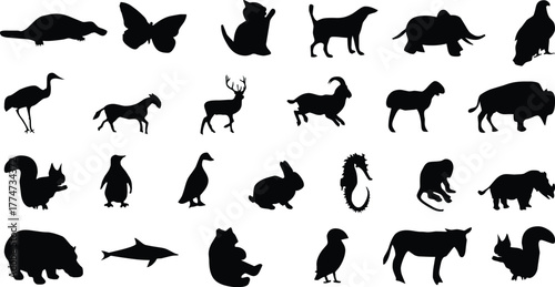 Collection of animal silhouettes on a, featuring a diverse range of creatures from different habitats