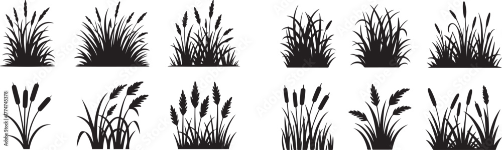 Φωτογραφία Cattail grass silhouette, black nature plant, marsh vegetation, wild reed bush, field element vector