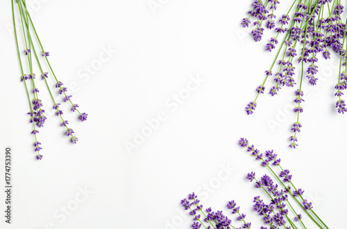 Fresh lavender flowers arranged artistically on a clean white background, showcasing vibrant purple hues and delicate textures, perfect for floral design and natural beauty concepts