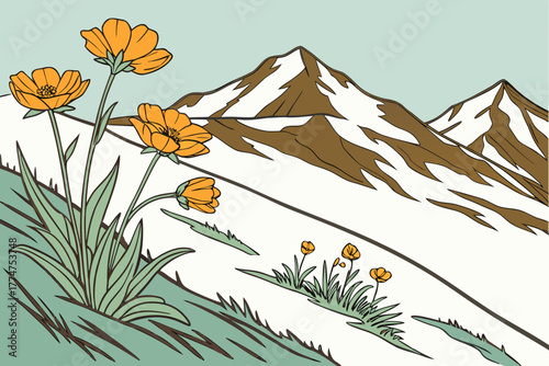 Arctic poppies dotting hillside beneath Brooks Range Alaska