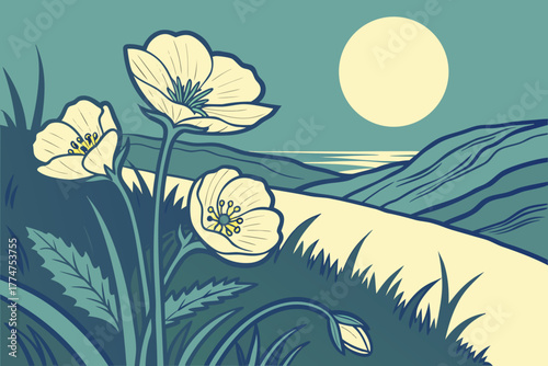 Arctic poppies glowing under midnight sun near Barrow Alaska