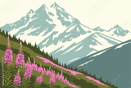 A hillside of pink fireweed overlooking snow-capped peaks in Denali National Park Alaska