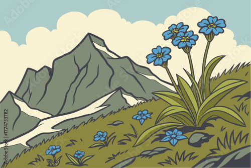 Alpine forget-me-nots near mountain ridge in Wrangell Mountains Alaska