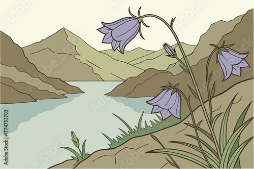 Alpine harebells overlooking lake in Denali National Park Alaska