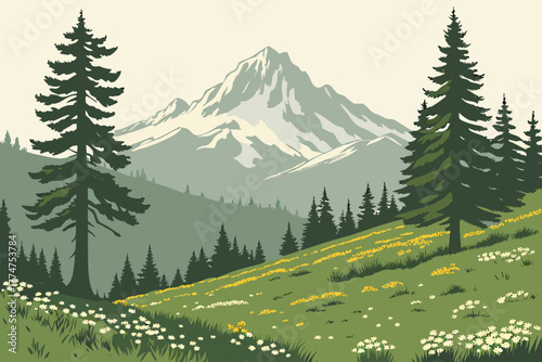 Alpine meadow near Mount Shasta, California.