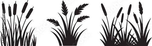 Cattail grass silhouette, black nature plant, marsh vegetation, wild reed bush, field element vector. Silhouette of cattails and reeds. Wild grass on the river bank. Swamp coastal plants.