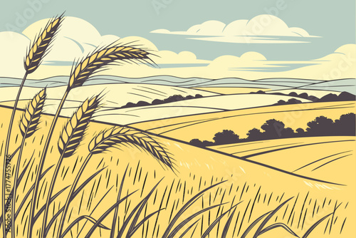 Golden wheat fields stretching into horizon in Kansas