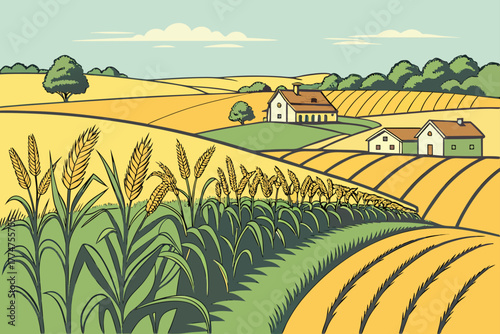 Harvest-ready farmland outside Topeka, Kansas.