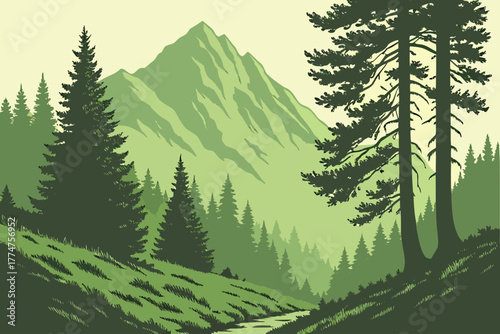 Mountain view over evergreen forest near Mount St. Helens, Washington.