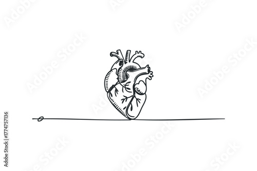 Line art anatomical heart with lifeline