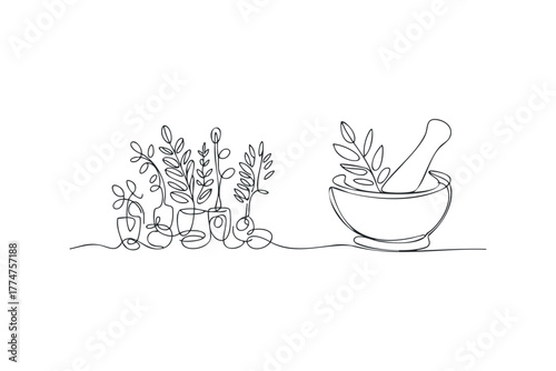 Organic plants in pots and mortar with pestle