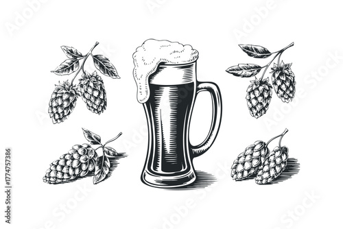 Ink sketch of beer mug with foamy head and hop plants