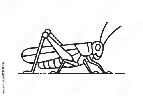 Outline icon of a grasshopper on white background