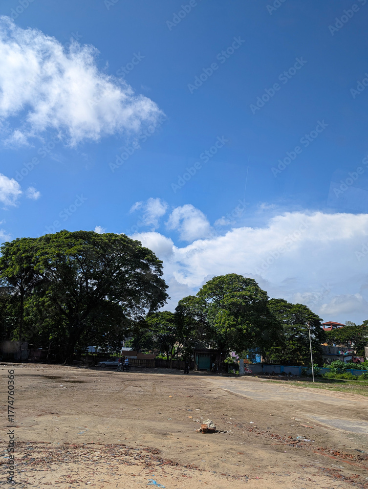 Fototapeta premium Open Space with Trees and Blue Sky filled with Clouds Scenery