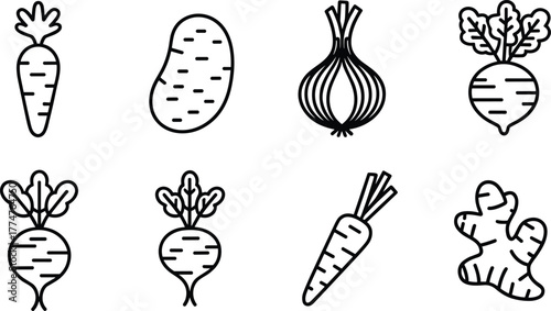 Black and white line art illustration of assorted root vegetables including carrot, potato, onion, beetroot, turnip,
