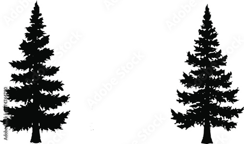 Evergreen tree silhouette, pine forest graphic, conifer shape illustration, nature icon, botanical art, isolated gray trees, minimal design