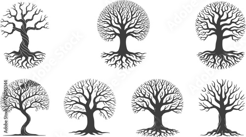 Collection of artistic black and white leafless tree silhouettes, twisted trunks and spreading branches,