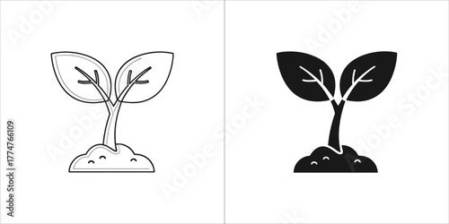 Two versions of a sprout illustration