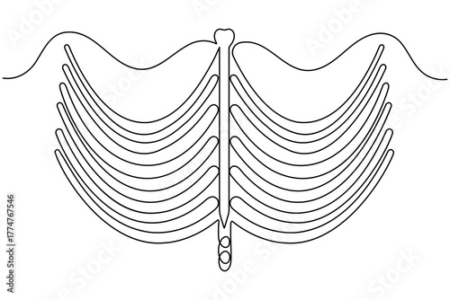 Human rib bone continuous one line drawing on white background minimalist anatomy cage outline vector illustration