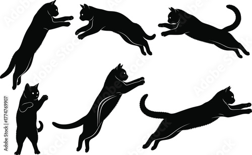 Jumping and upright cat silhouettes, feline motion vector set, black clipart, pet agility poses, animal movement, domestic icons