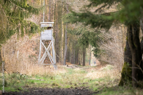 A hunting stand in the forest is an elevated position used for observing and hunting game from a hidden position.
