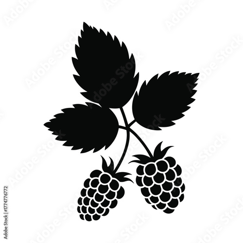 Blackberry leaf with fruit vector silhouette