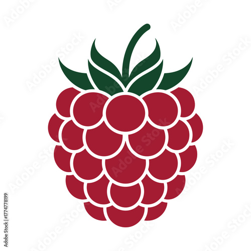 Raspberry vector silhouette