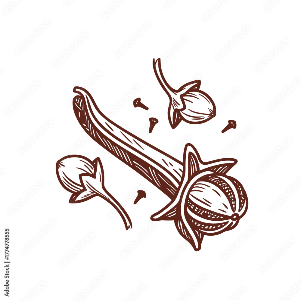 Obraz premium Cloves vector icon.