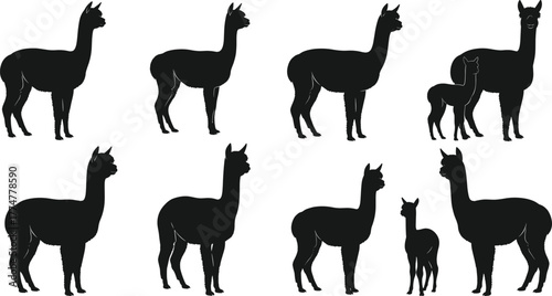 Alpaca silhouette vector set, black and white animal illustrations, standing and paired poses, farm livestock clipart, wooly mammal design, nature icons