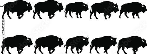 Bison silhouette vector set, black and white walking poses, wildlife motion sequence, running buffalo illustration, animal gait cycle, nature clipart