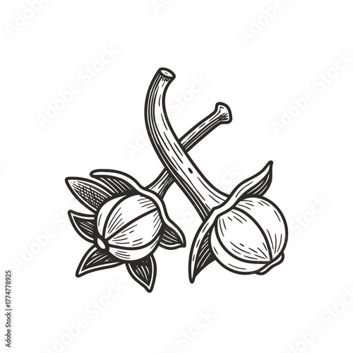 vector icon of cloves icon symbol