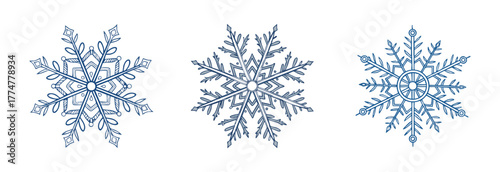 Elegant winter snowflakes, decorative vector illustration for the holidays