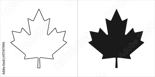 Outline and silhouette of a canadian maple leaf isolated on a
