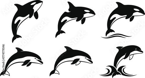 Orca silhouette vector set, killer whale illustrations, marine animal design, black and white ocean wildlife, jumping orca clipart, aquatic creature icons