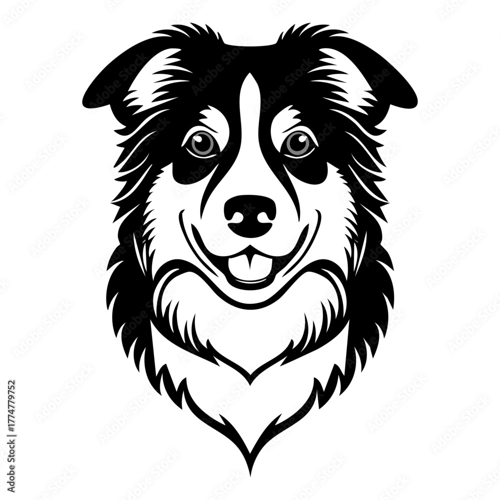 Fototapeta premium High-Contrast Black and White Vector Portrait of an Australian Shepherd Dog's Head, Showing a Detailed, Happy Expression and Symmetrical Fur Markings, Ideal for Pet Logos