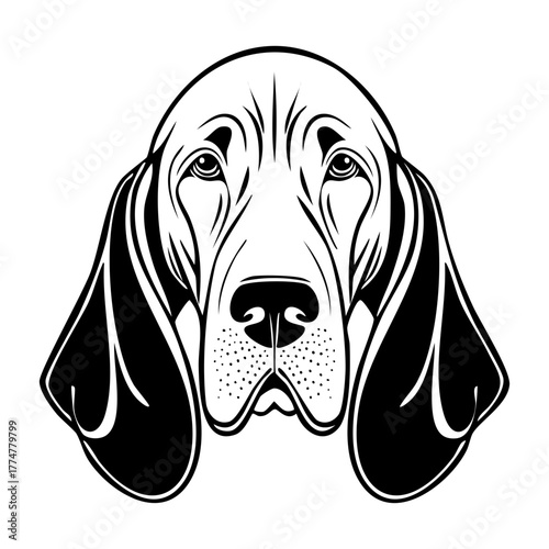 Detailed Black and White Bloodhound Dog Head Face Portrait Vector Illustration Isolated