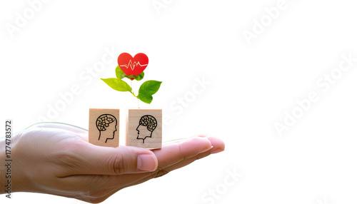 Hand holding wooden blocks with brain profile, plant w/heart symbol at top