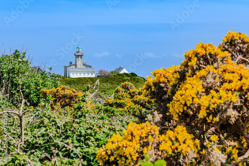 Balade sur l'ile Chaussey