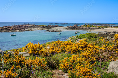 Balade sur l'ile Chaussey