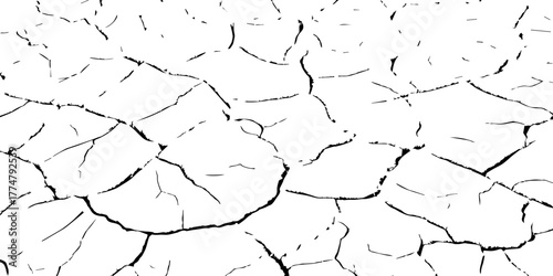 High contrast black and white cracked dry soil texture background, drought earth surface pattern, environmental climate change concept, abstract broken ground detail for nature design and illustration