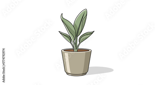Minimalist vector illustration of a small potted houseplant with lush green foliage, an ideal decorative element for modern interior design, botanical themes, and clean graphic projects