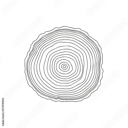 Tree Ring Illustration, Nature Study, Wood Texture, Environmental Art, Graphic Design, Close-Up View, Biological Insights