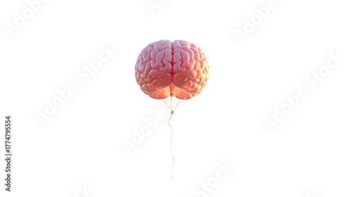 A realistic, pink brain rendered as a balloon against a stark black background