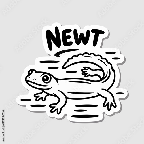 Illustration of cute cartoon newt sticker with text isolated on white background