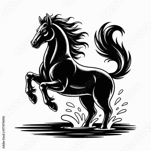 Powerful Rearing Black Horse Vector Illustration Splashing Water, Capturing Dynamic Movement and Majestic Strength, Ideal for Equestrian Brands or Sport Logos