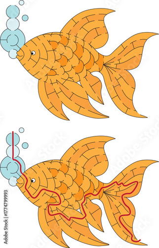 A vector illustration showing a goldfish maze puzzle and its corresponding solution with a black line starting from the bubbles and exiting at the tail