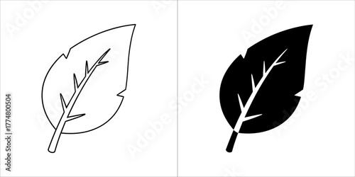 Outline and silhouette of a single leaf