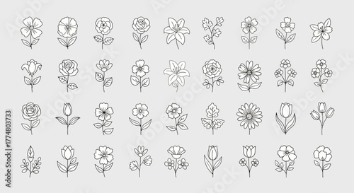 A collection of diverse line art illustrations of various flowers and floral elements.